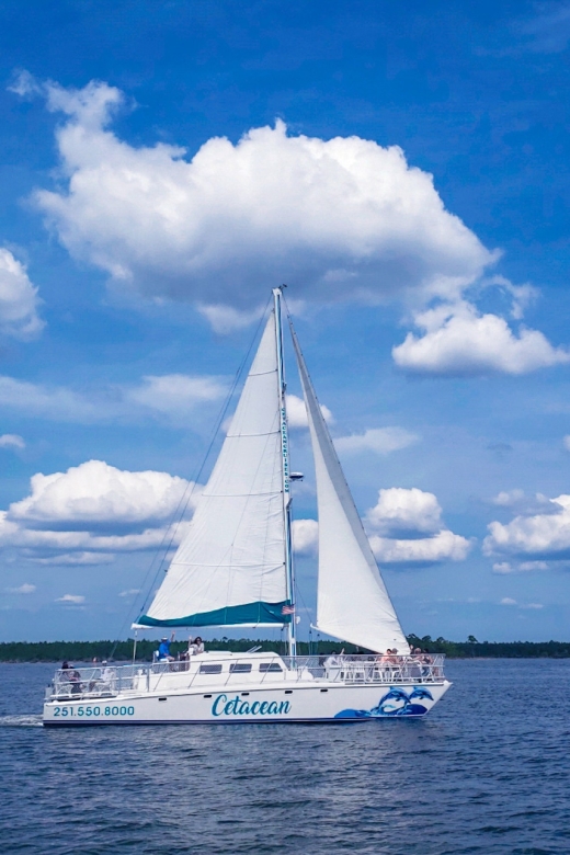 Orange Beach: Dolphin & Sailing Cruise Aboard 52' Catamaran - Should You Book This Orange Beach Sailing Cruise?