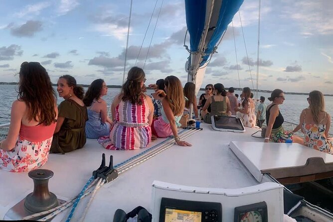 Orange Beach Dolphin Sailing Cruise aboard Catamaran - More than dolphins: fish, pelicans, and coastal birds
