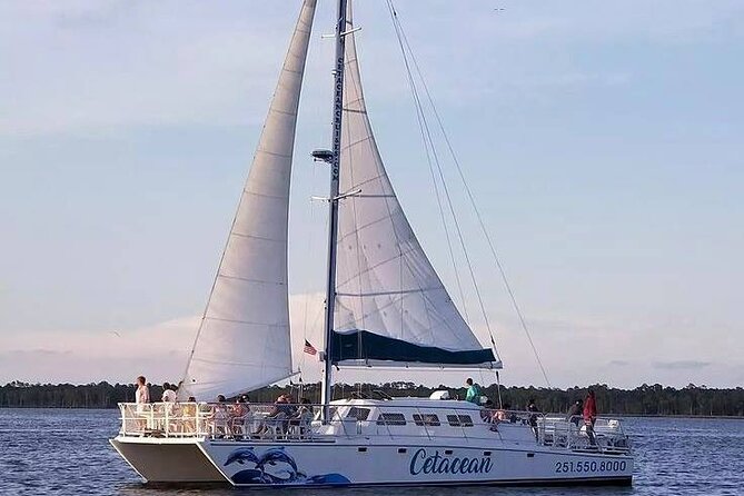 Orange Beach Dolphin Sailing Cruise aboard Catamaran - Weather, timing, and comfort