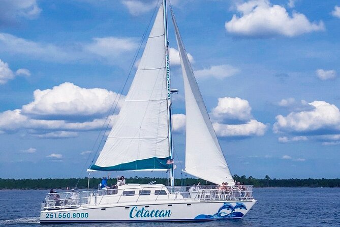 Orange Beach Dolphin Sailing Cruise aboard Catamaran - Watching for dolphins in the bay