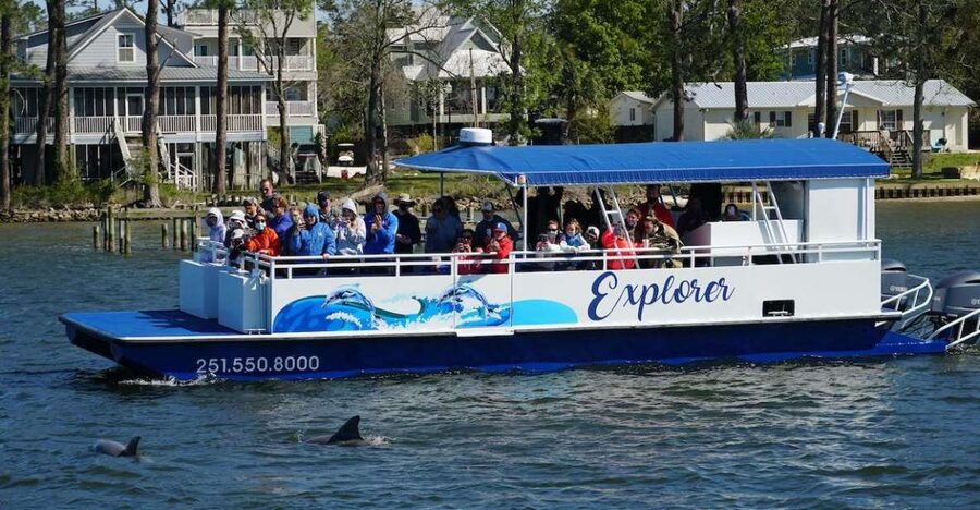 Orange Beach: Dolphin-Watching Eco-Boat Tour - Key points to know before you book