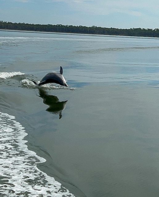 Orange Beach: Dolphin-Watching Eco-Boat Tour - Searching the back bays for the pod
