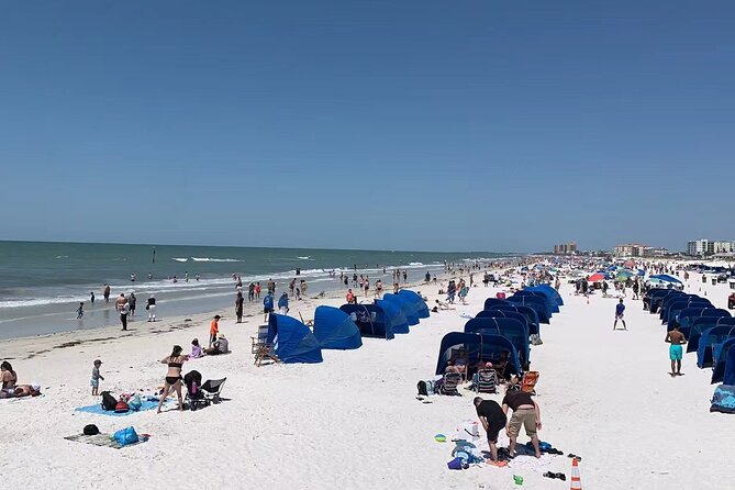 Orlando: Clearwater Beach, Dolphin Cruise Small Group Max 14 Tour - Practical details that can save you trouble