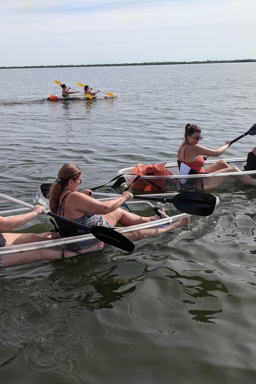 Orlando: Dolphin Clear Kayak or Paddle Board Adventure - Who will enjoy this most