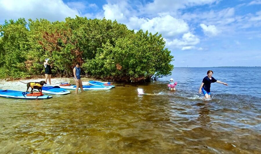 Orlando: Dolphin Clear Kayak or Paddle Board Adventure - Clothing, comfort, and simple preparation