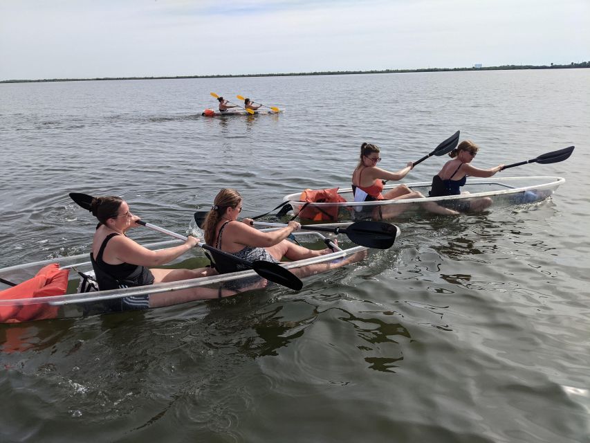 Orlando: Dolphin Clear Kayak or Paddle Board Adventure - Choosing between a clear kayak and a paddleboard