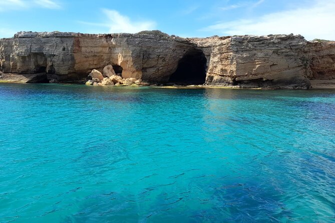 Ortigia-blue cave island tour with dolphin sighting - Plemmirio and the search for dolphins