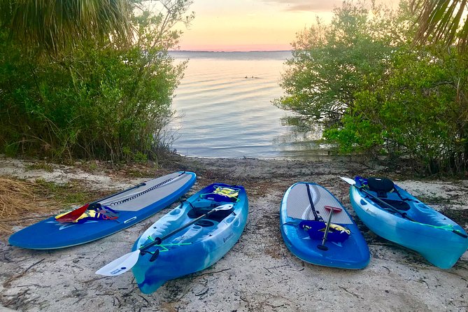 Paddle Board or Kayak Eco Dolphin Manatee Tour - Starting at 9 a.m. in Merritt Island