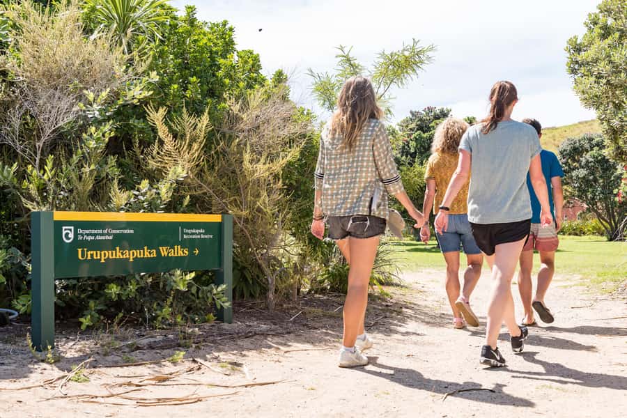 Paihia: Bay of Islands Dolphin Eco Cruise & Island Stopover - Booking and cancellation details