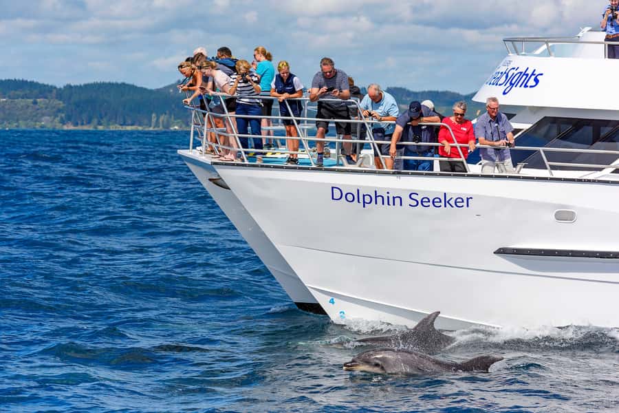 Paihia/Russell: Hole in the Rock, Dolphins & Island Cruise - A 144-island introduction to the Bay of Islands