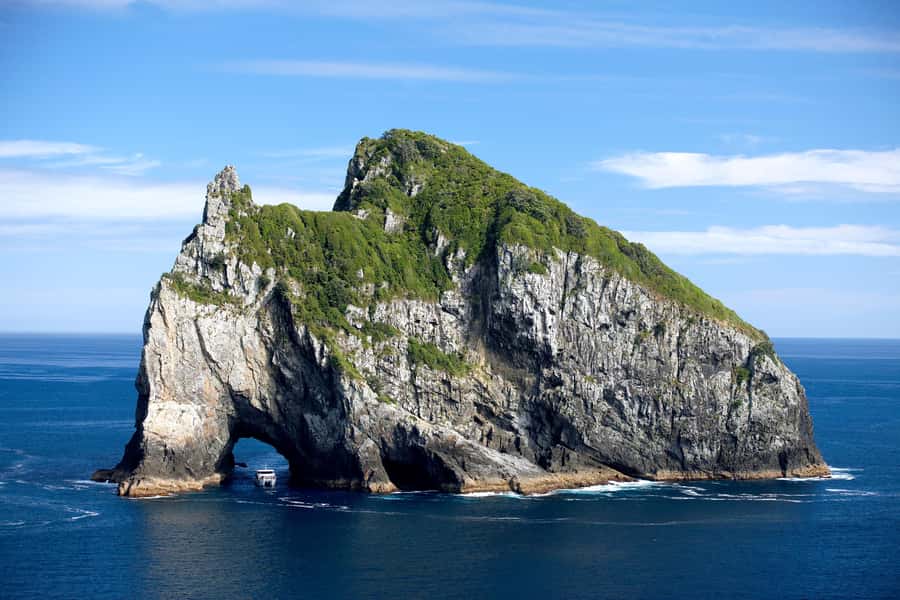 Paihia/Russell: Hole in the Rock, Dolphins & Island Cruise - Watching for dolphins on the way to Cape Brett