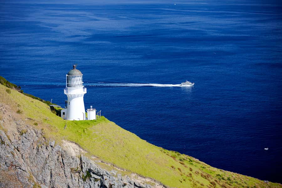Paihia/Russell: Hole in the Rock, Dolphins & Island Cruise - What the catamaran is like