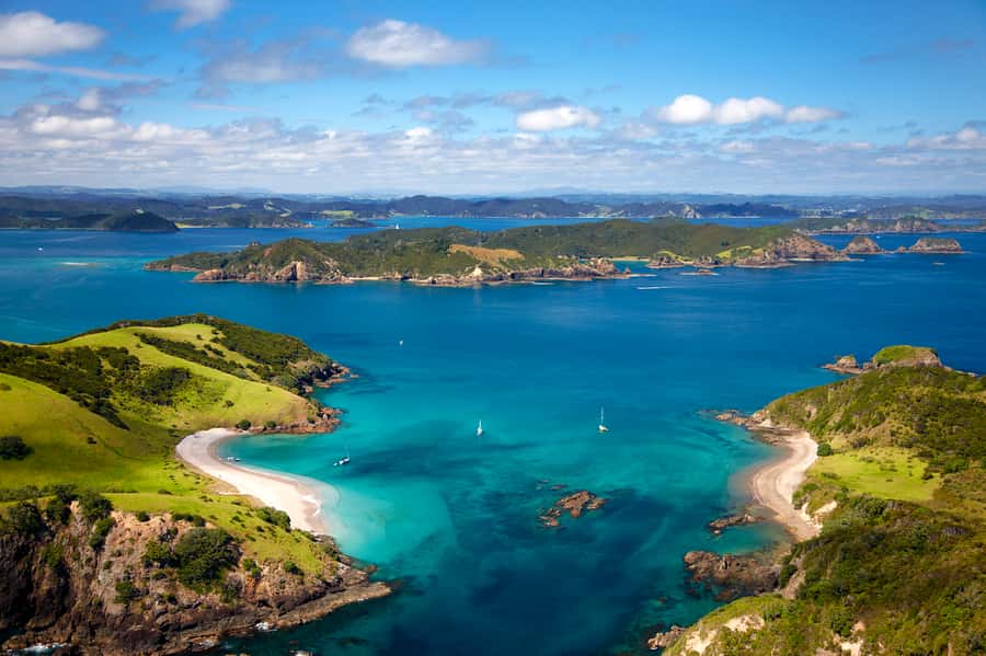 Paihia/Russell: Hole in the Rock, Dolphins & Island Cruise - Who will enjoy this cruise most