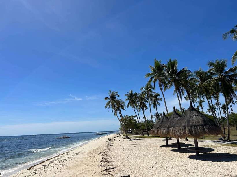 Pamilacan island: Dolphins, snorkel, lunch and walking tour - Key points to know before booking