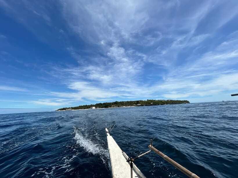 Pamilacan island: Dolphins, snorkel, lunch and walking tour - Should you book the Pamilacan tour?