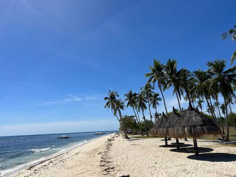 Pamilacan island: Dolphins, snorkel, lunch and walking tour - A sandy lunch with Boholano flavor