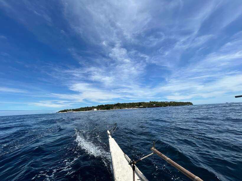 Pamilacan island: Dolphins, snorkel, lunch and walking tour - Sunrise dolphin watching near Pamilacan