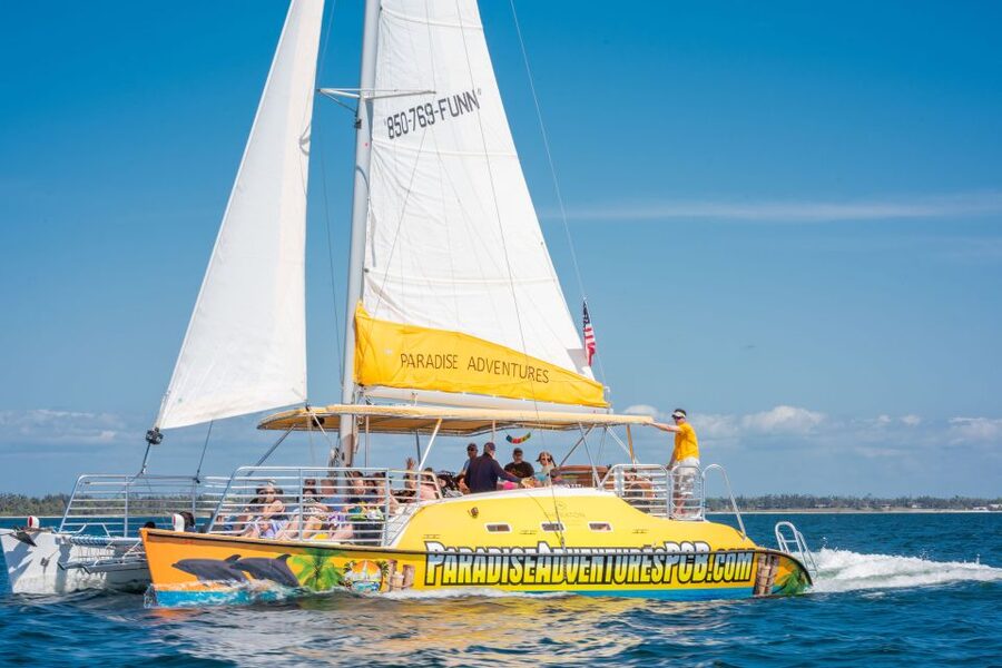 Panama City Beach: Dolphin Sightseeing Trip by Catamaran - A short Gulf cruise with a clear purpose