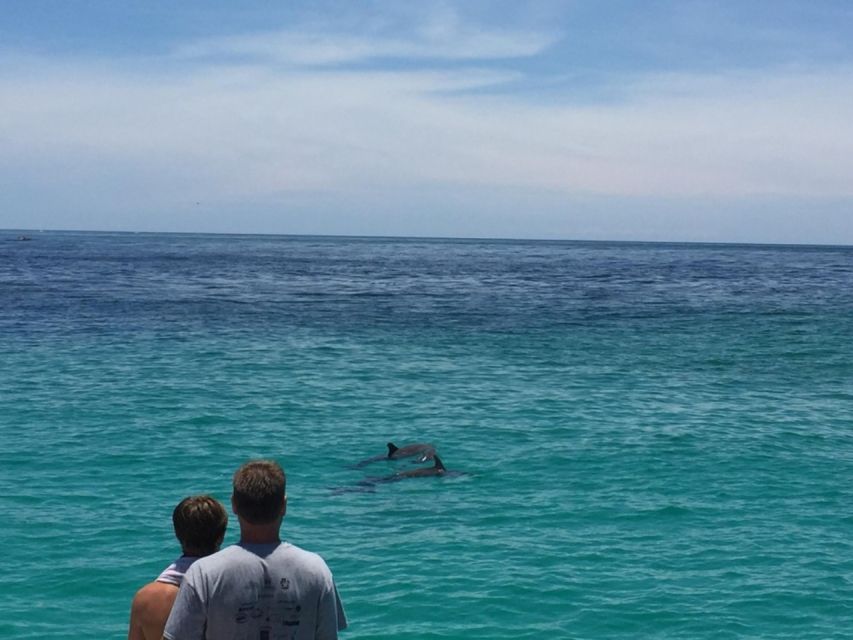 Panama City Beach: Dolphin Sightseeing Trip by Catamaran - Drinks, snacks, and the onboard mood