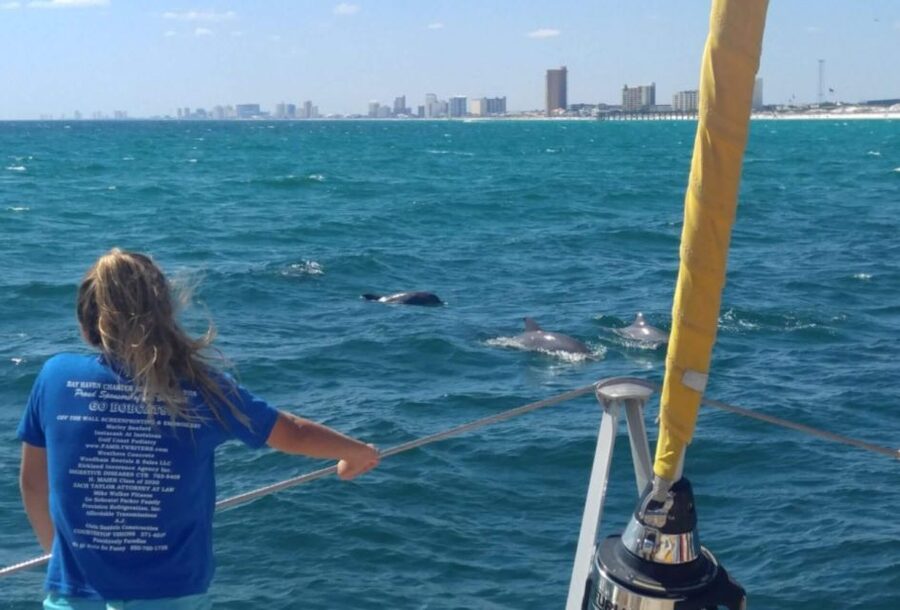 Panama City Beach: Dolphin Sightseeing Trip by Catamaran - Who will enjoy this cruise most