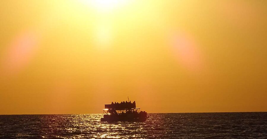 Panama City: Sunset Dolphin Cruise in St. Andrews Bay - Key points to know