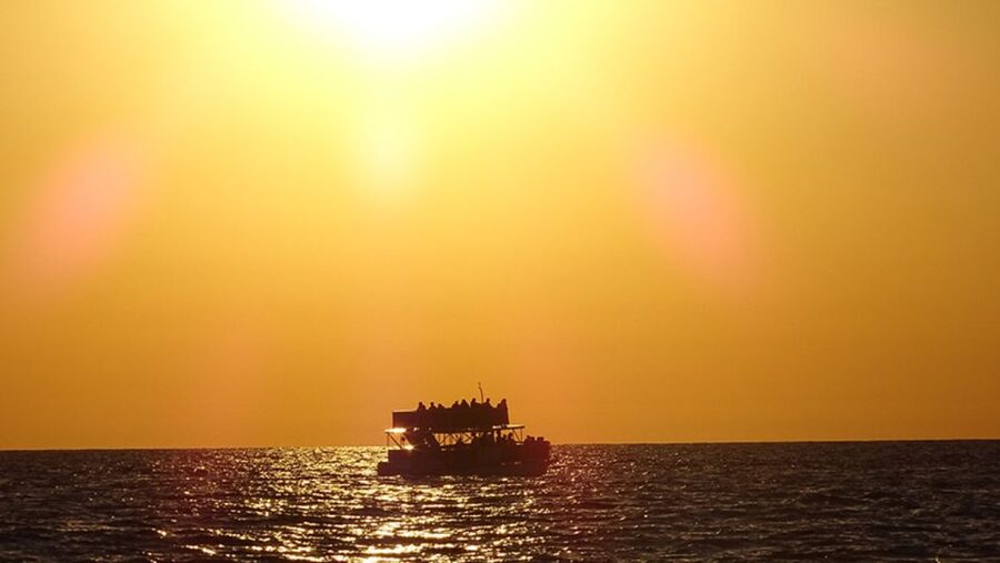 Panama City: Sunset Dolphin Cruise in St. Andrews Bay - Why this short sunset cruise works so well
