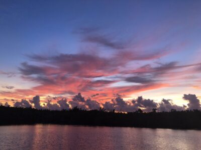 Panama City: Sunset Dolphin Cruise in St. Andrews Bay