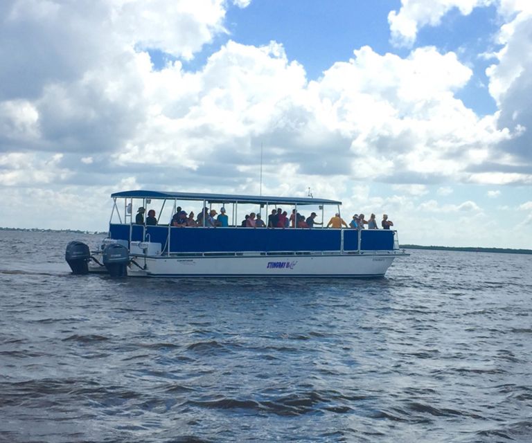 Panama City: Sunset Dolphin Cruise in St. Andrews Bay - Cancellation, timing, and booking flexibility