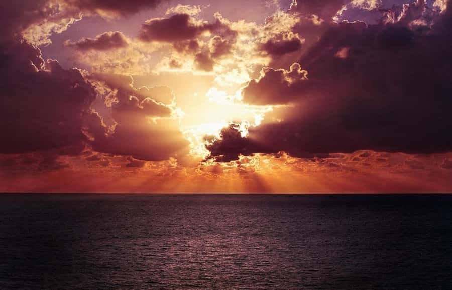 Panama City: Sunset Tour with Dolphin Watching - Looking for dolphins without making promises