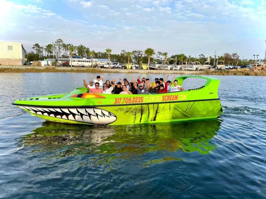 Panama City: Sunset Tour with Dolphin Watching - Greta the sea dog and the human side of the ride