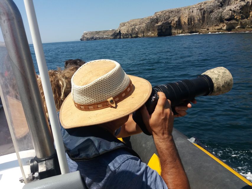 Peniche: Dolphin Route Boat Trip - Key points to know before you go