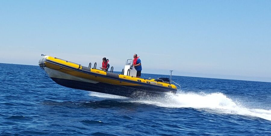 Peniche: Dolphin Route Boat Trip - What you may see, and what you may not