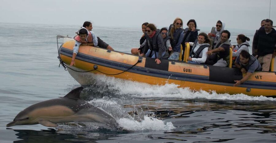 Peniche: Dolphin Route Boat Trip - Comfort, clothing, and seasickness