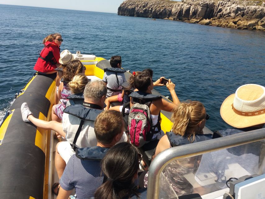 Peniche: Dolphin Route Boat Trip - Respecting the animals on the route