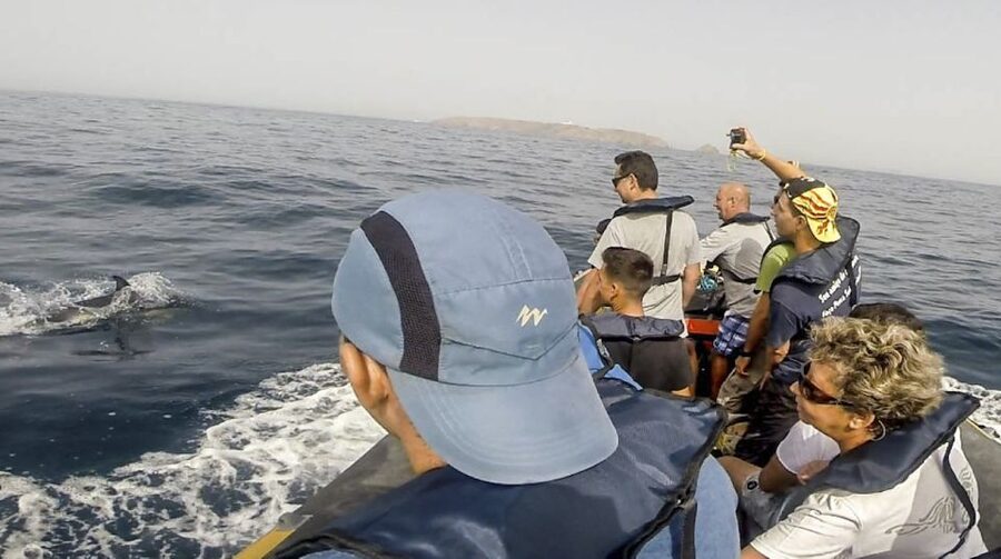 Peniche: Dolphin Route Boat Trip - Practical planning for your day