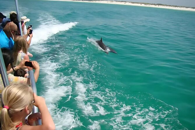 Pensacola Beach Dolphin and Scenic Tour - A short cruise with a big Pensacola view