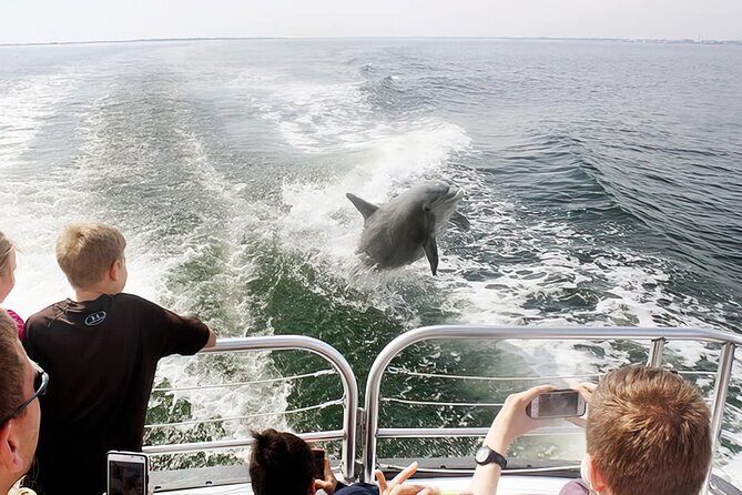 Pensacola Beach Dolphin and Scenic Tour - Is $35 a good value?