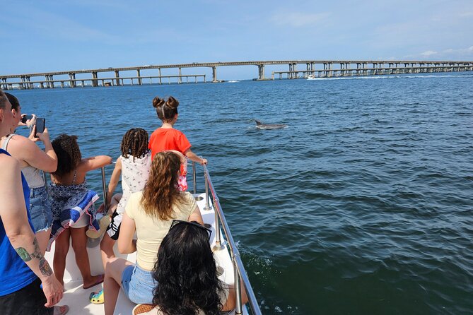 Pensacola Beach Dolphin and Scenic Tour - Who should book this Pensacola cruise?