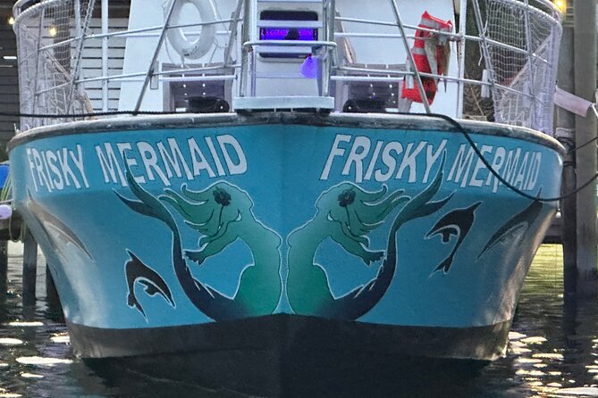 Pensacola Frisky Dolphin Sightseeing Bay Cruise - A lively way to search Pensacola Bay