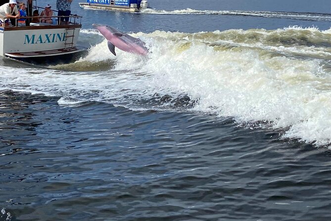 Pensacola Frisky Dolphin Sightseeing Bay Cruise - Boarding, parking, and the practical details