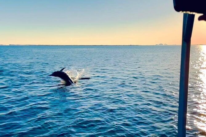 Pensacola Frisky Dolphin Sightseeing Bay Cruise - Why the crew gets so much praise