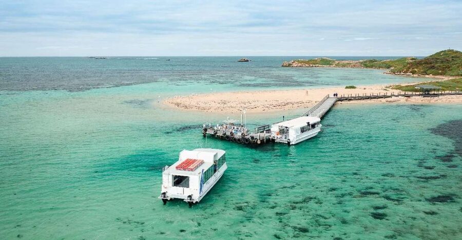 Perth: Dolphin, Sealion & Wildlife Cruise with Lunch - What the Glass Bottom Actually Adds