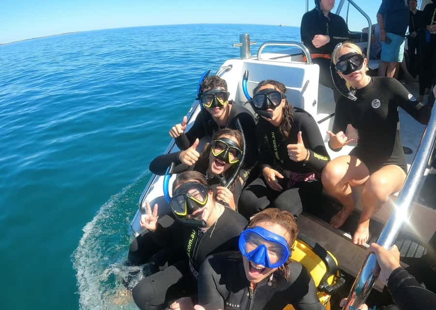 Perth: Swim with Wild Dolphins Tour - Lunch, snacks, and the time between swims