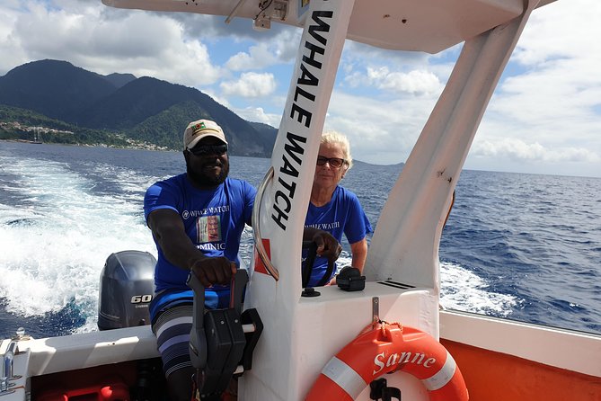PH Whale Watch & Dolphin Cruise in Dominica - Is $96 a fair price?