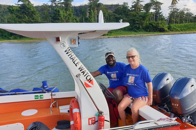 PH Whale Watch & Dolphin Cruise in Dominica - Booking details that can save you trouble