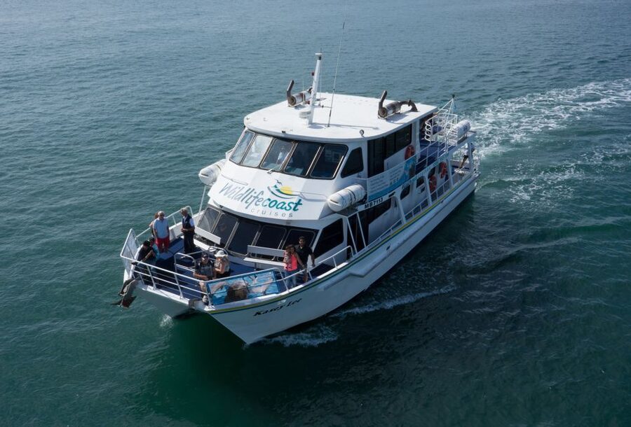 Philip Island: Dolphin and Whale Cruise - Tea, cake, and the licensed bar