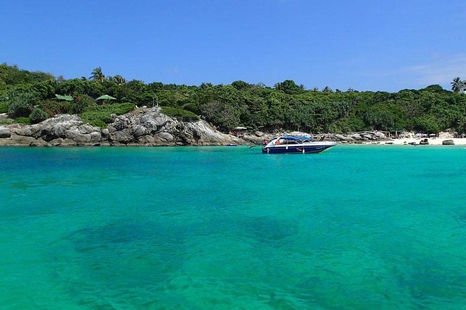 Phuket Dolphin Quest: Racha & Maiton Island Expedition - The Maiton Island dolphin search