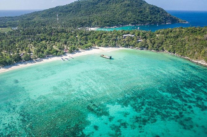 Phuket Dolphin Quest: Racha & Maiton Island Expedition - Guide service and the feel of the group