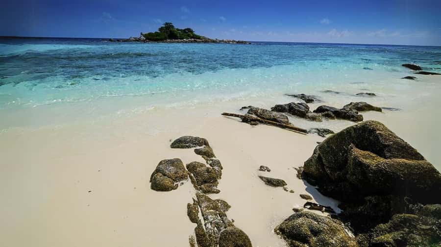 Phuket: Raya Island, Maithon Island, & Dolphin Spotting Tour - Should you book it?