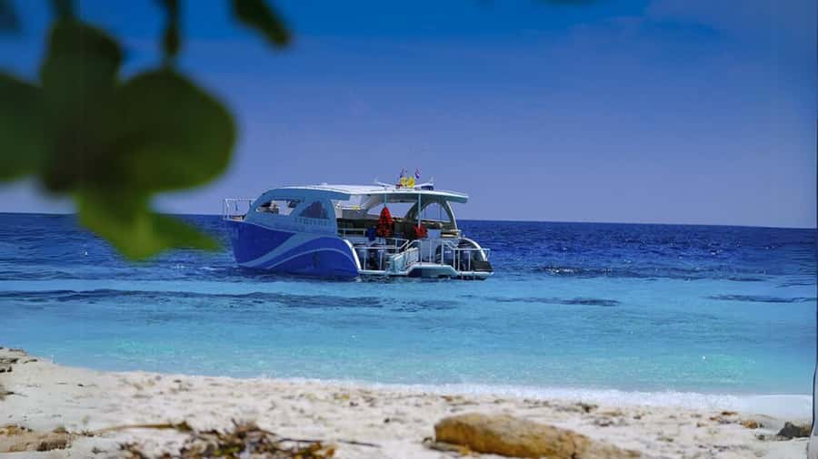 Phuket: Raya Island, Maithon Island, & Dolphin Spotting Tour - Searching for dolphins near Maithon Island